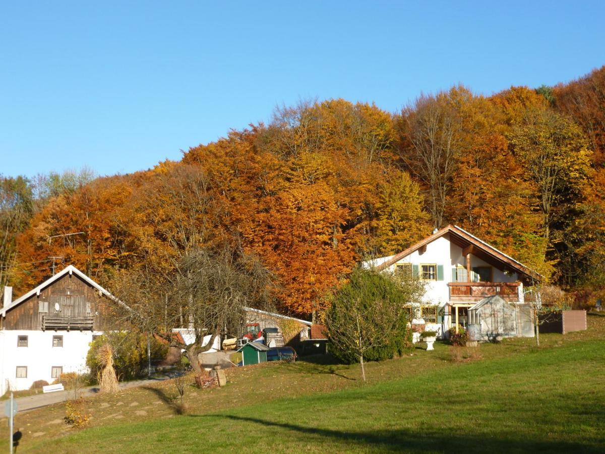 Ferienappartements Mit Herz Bischofsmais Exterior photo